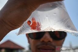 Korporasi Indonesia wajib tinggalkan praktik keberlanjutan yang dangkal