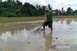 LEISA, langkah inovatif BI Kaltim wujudkan ketahanan pangan