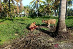 SPN Gorontalo: Program "Live In" tingkatkan kepedulian sosial anggota