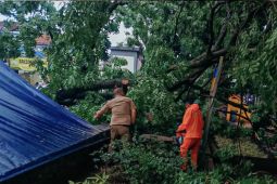 Farhan imbau warga untuk waspada terhadap cuaca ekstrem di Bandung