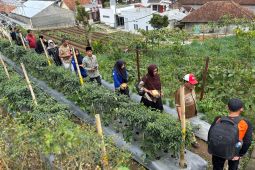 Kemenko PM dorong petani dan koperasi go digital lewat pelatihan strategis