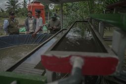 Kilang Pertamina Plaju hadirkan inovasi atasi limbah budidaya