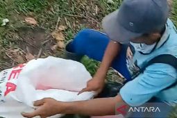 Pemkab Situbondo tindak kios pupuk subsidi jual di atas HET