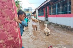 Ratusan rumah dan ribuan jiwa terdampak banjir di Bima