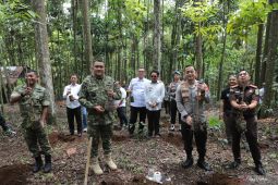 Bogor targetkan bangun hutan kota di setiap kecamatan mulai 2026