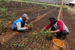 BPS Lampung: 65,79 ribu orang terserap lapangan kerja hingga Agustus 2025