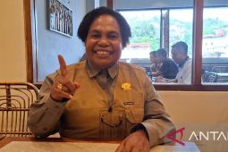 Ketua MRP: Rumah sakit harus jadi pusat kesehatan yang inklusif