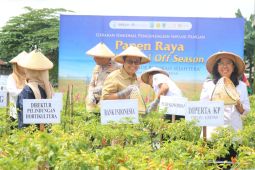 BI Kediri edukasi petani cabai untuk pengendalian inflasi pangan