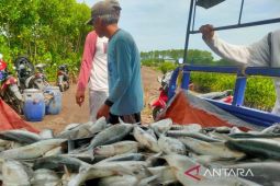 DKPP Kabupaten Cirebon membentuk pengelola TPI dongkrak PAD perikanan