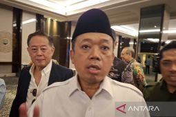 Menteri ATR/BPN lindungi sawah lewat RDTR dan RTRW demi ketahanan pangan nasional