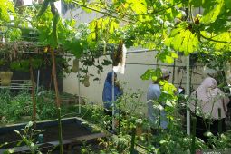 Sumsel gerakkan kemandirian pangan di daerah pesisir