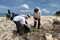 PLN UIP Nusra dan Politeknik KP Kupang gelar aksi bersih Pantai Oesina