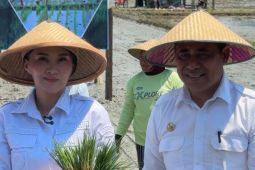 Kembangkan 1.000 Ha lahan sawah, Pemprov Malut jadikan Halmahera Timur lumbung pangan daerah