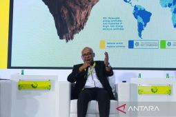 Investasi EBT capai 1,3 miliar dolar AS pada semester I 2025, REC diharapkan jadi daya tarik investor