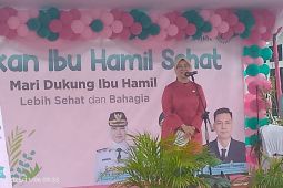 Pangkalpinang dorong gerakan ibu hamil sehat cegah stunting dan tekan angka kematian ibu