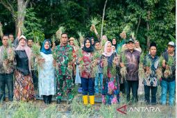 Wabup Atika ajak warga Madina wujudkan ketahanan pangan dari pekarangan rumah