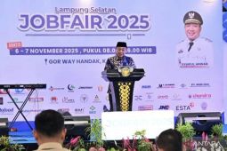 Wabup Lampung Selatan sebut Job Fair langkah strategis perluas akses pekerjaan