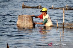 Pertamina Energy Terminal beri bantuan dan literasi nelayan lokal Tanjung Uban