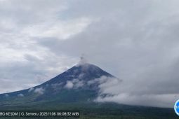 Semeru alami erupsi disertai letusan setinggi 1 km di atas puncak