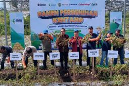 Pupuk Kaltim perluas program Agrosolution di Sembalun,