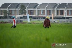 Pemerintah  terus dorong perlindungan lahan pertanian dari alih fungsi