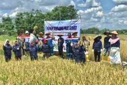 Pertamina EP Adera Field bangkitnya asa masyarakat Desa Pengabuan melalui Program Permata