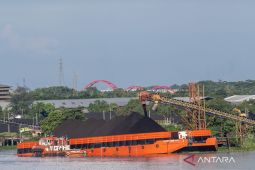 DLH Kalteng: Penguatan pengawasan pastikan perusahaan patuh dalam pengelolaan lingkungan