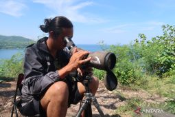 Menilik potensi wisata pengamatan migrasi burung