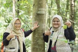 Kalsel kemarin dari  proyek pembangunan hingga PHBK