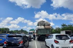 Polresta Barelang amankan lima truk diduga membawa barang impor ilegal