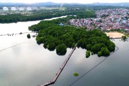 DPMPTSP Kota Bontang buka peluang berinvestasi hijau wisata edupark
