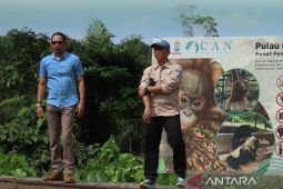 BKSDA Kaltim pastikan Pusat Penyelamatan Satwa Long Sam penuhi standar kesejahteraan satwa