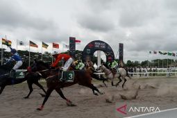 120 kuda mengikuti kejuaraan pacuan kuda Piala Raja di SSA Bantul