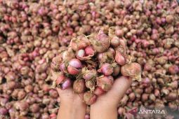 Harga bawang merah Rp42.550/kg, cabai rawit Rp49.800/kg