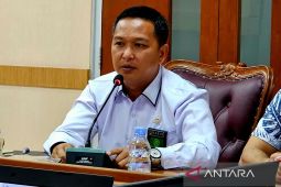 Dispensasi nikah di Pengadilan Agama Natuna didominasi kasus hamil pranikah