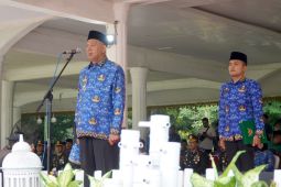 Bupati Langkat ajak masyarakat melanjutkan semangat perjuangan para pahlawan