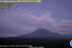 Semeru kembali alami erupsi dengan letusan setinggi 800 meter