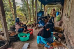 Cerita dari Desa Hargorejo, Objek Reforma Agraria yang Menumbuhkan Harapan Warga Kulon Progo