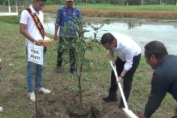 PKK Tanjabtim - BWSS VI Jambi tanam pohon jaga keseimbangan alam