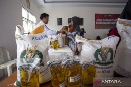 Penerima bantuan pangan di Gunung Mas bertambah