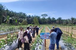 Desa Bukit Makmur raih penghargaan 15 desa terbaik nasional Program BRILiaN 2025