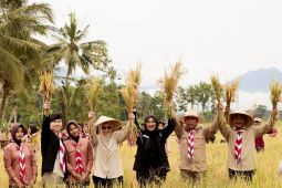Banyuwangi catat produksi padi dan jagung tahun ini surplus