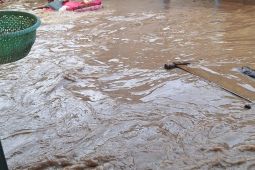 Banjir rendam dua kecamatan di Dompu, 965 kepala keluarga terdampak