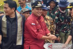Kabupaten Banyuasin target jadi lumbung pangan nasional
