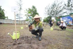 BI tanam 1.000 pohon kakao dukung target Net Zero Emission di Babel