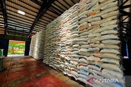 Bulog Natuna siapkan77,36 ton beras bantuan pangan untuk warga