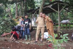 Pemkab Kuningan melatih petani muda kembangkan pertanian organik
