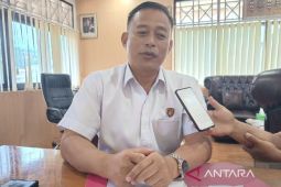 Polda: Enam wilayah di Tanah Papua sangat rawan peredaran dan penyelundupan ganja