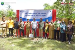 Bank Indonesia Gelar Aksi Tanam Pohon di Kawasan Gunung Putih