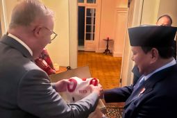 Prabowo beri pakaian untuk anjing peliharaan PM Albanese, tunjukkan diplomasi yang hangat dan personal